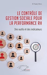 Le contrôle de gestion sociale pour la performance RH: Des outils et des indicateurs