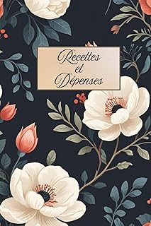 Registre suivi comptable recettes dépenses: Gestion des finances, trésorerie, comptes . Auto-entrepreneur, entreprise individuelle, budget personnel, suivi simple et efficace