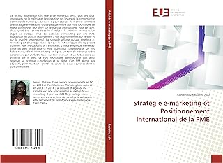 Stratégie e-marketing et Positionnement International de la PME