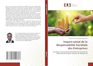 Impact social de la Responsabilité Sociétale des Entreprises: Cas d
