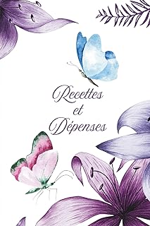 RECETTES DEPENSES / Registre de comptabilité: Livre de gestion des finances, trésorerie, comptes – Auto-entrepreneur, entreprise individuelle, budget personnel, suivi comptable simple et efficace